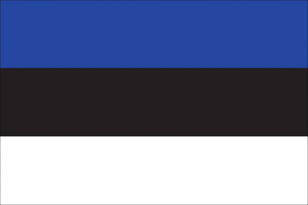 Fahne - Estland