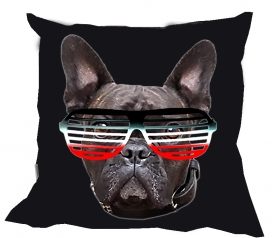 Kissen - Bulldogge - Brille - SWR Kissen - Bulldogge - Brille - SWR