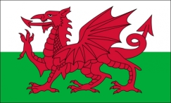 Fahne - Wales
