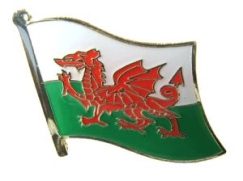 Pin - Wales